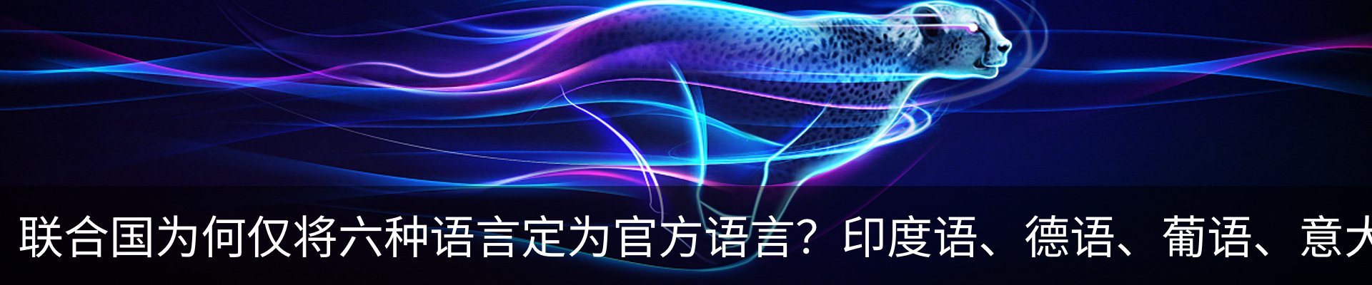 最新动态