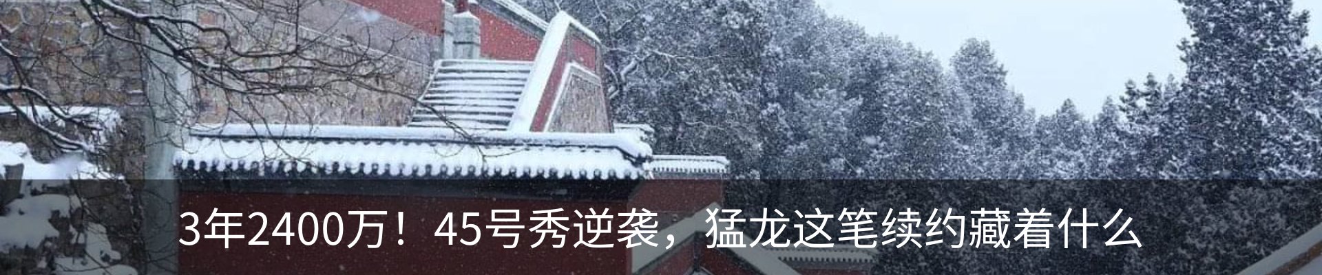最新动态